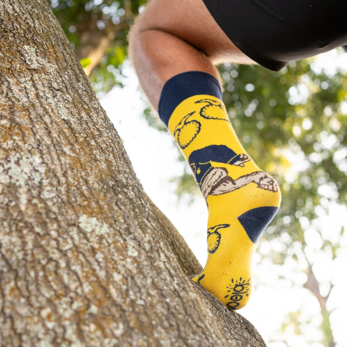 Bloomin Socks