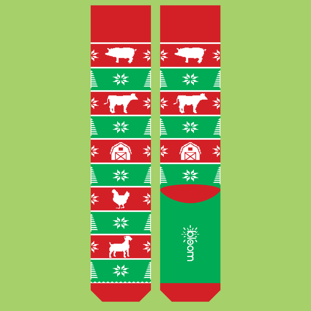 Holiday Collection