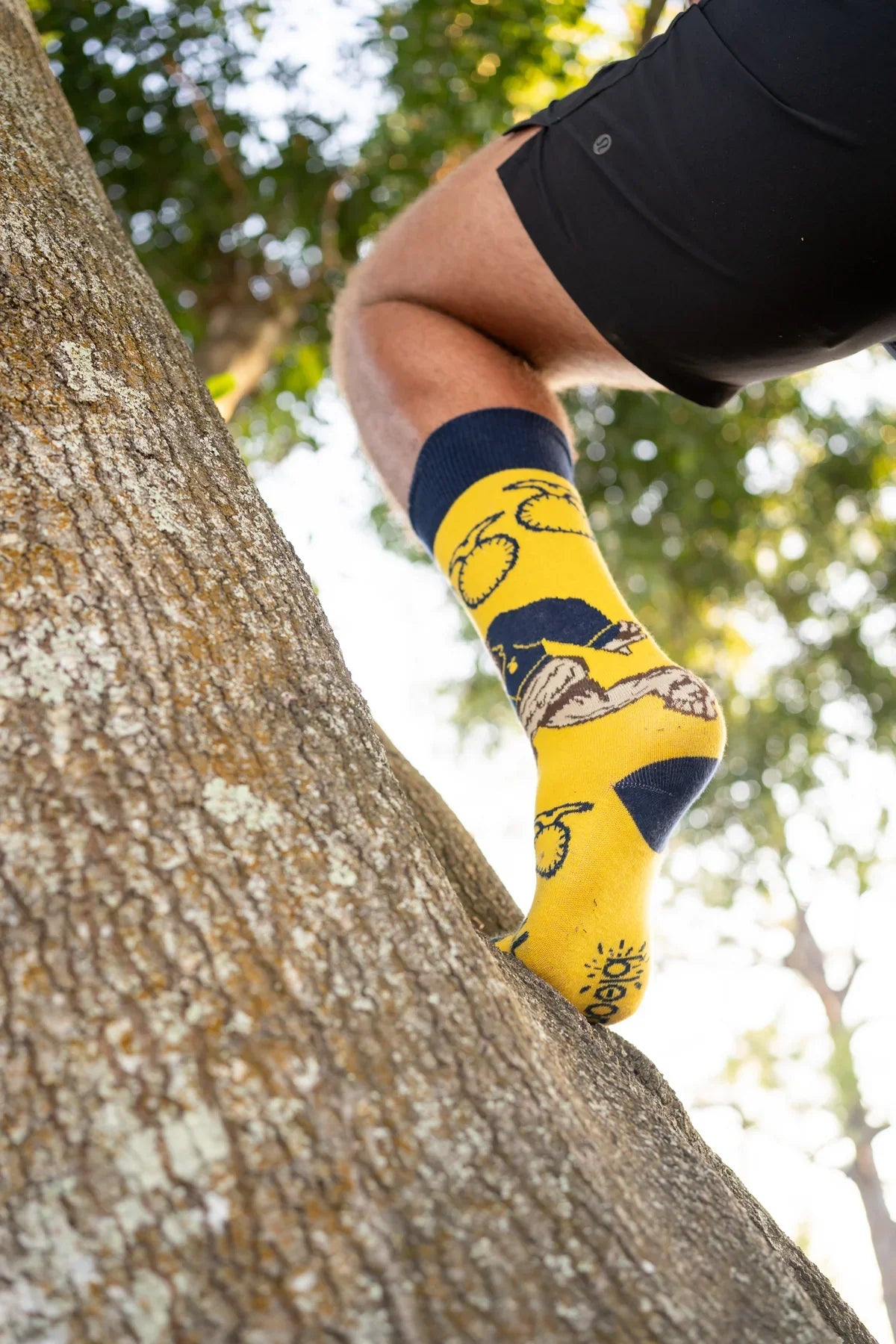 Bloomin Socks