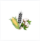 Commodities