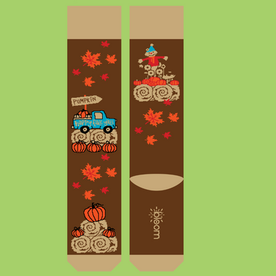 Fall - Pumpkin