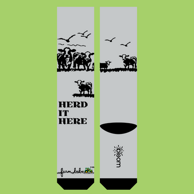 Herd It Here
