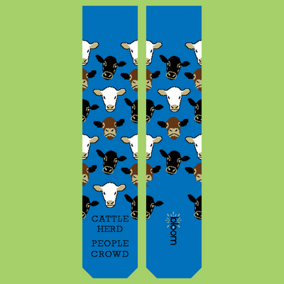 Herd