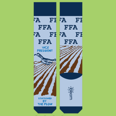 FFA Office - Vice President