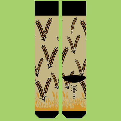 Wheat